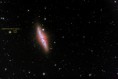 /album/galaxie/m82-descriptif-jpg/